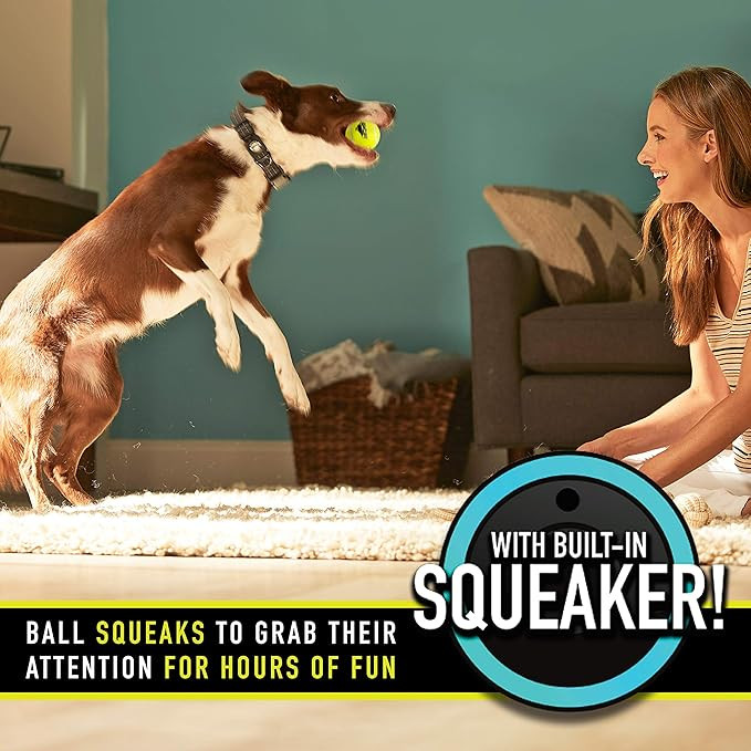 Ready Set Fetch! Tennis Ball 3 Pack with Squeaker