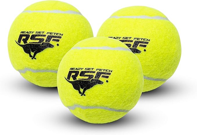 Ready Set Fetch! Tennis Ball 3 Pack with Squeaker