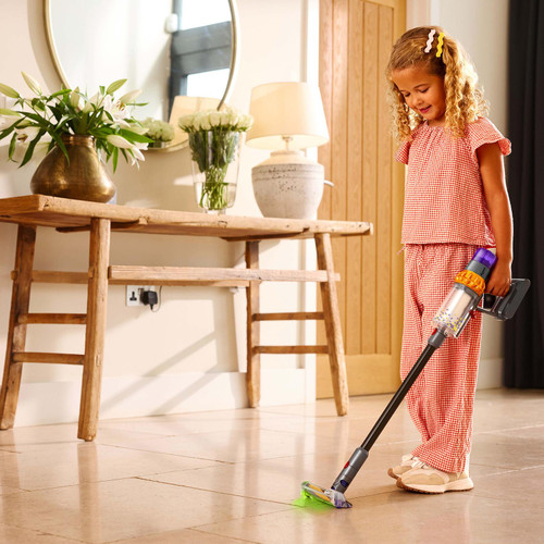 Dyson Detect
