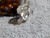 New Light Weight Ladies Sterling  Silver Lapis Ring By Navajo Virgil Chee Size 7