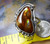 Sterling Silver and Aguascalientes, Mexico Fire Agate Gem ring size 9 1/4  D96