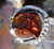 New Sterling Silver and Deer Creek AZ Fire Agate Gem ring  sz  6 3/4   D107