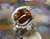 New Sterling Silver and Deer Creek AZ Fire Agate Gem ring  sz  6 3/4   D107