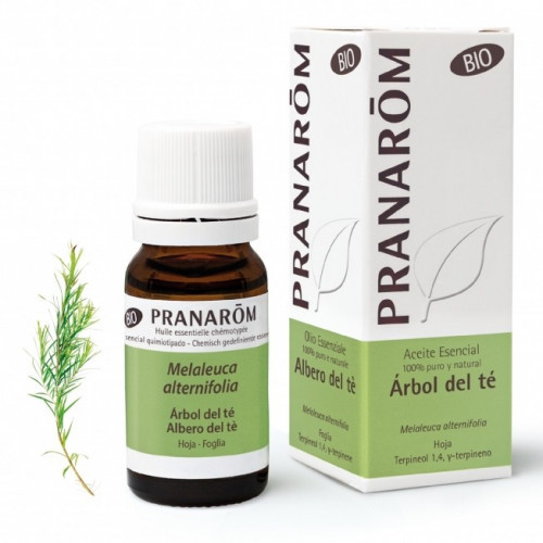 Pranarom aceite esencial árbol del té bio 10 mL