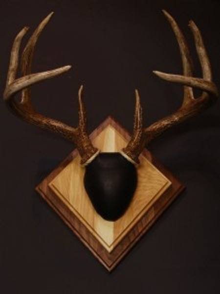 Antler Mount Kit-Overlay Deer