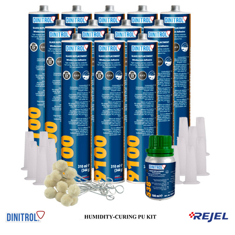 DINITROL 9100 PU KIT 310ml Box of 12 + Primer