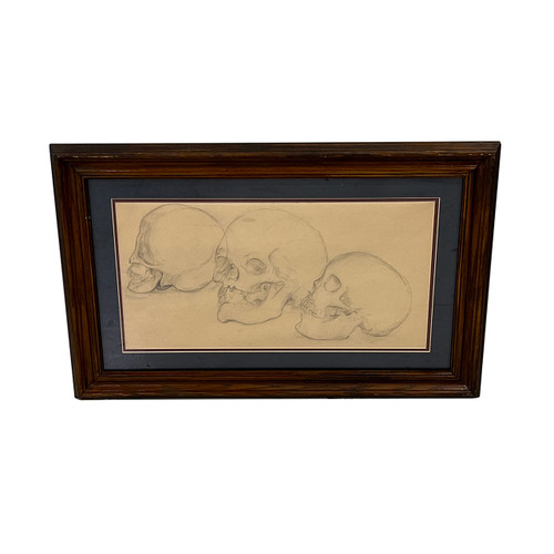 Framed Pencil Drawing - Study of Three Skulls