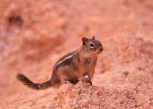 9894 : Test Product 1