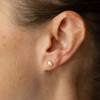 Glee Gold Plated Throw On Studs