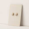 Lover's Tempo Mimosa Studs Champagne