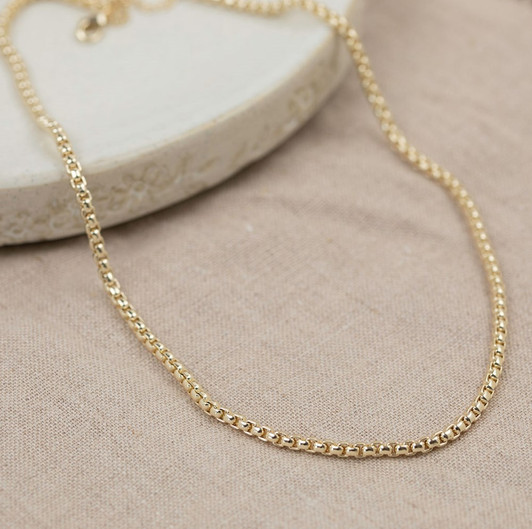 Glee Gold Plated Cord Link Necklace