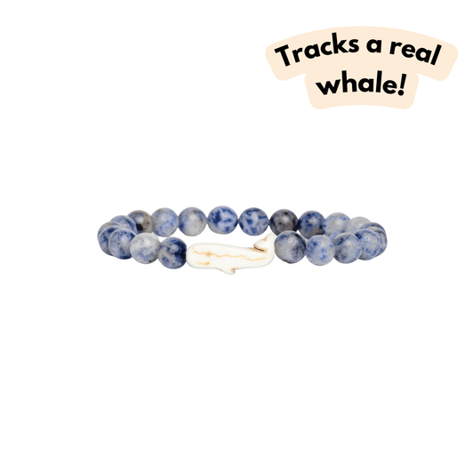 Fahlo The Wayfare Whale Bracelet Coastal Blue