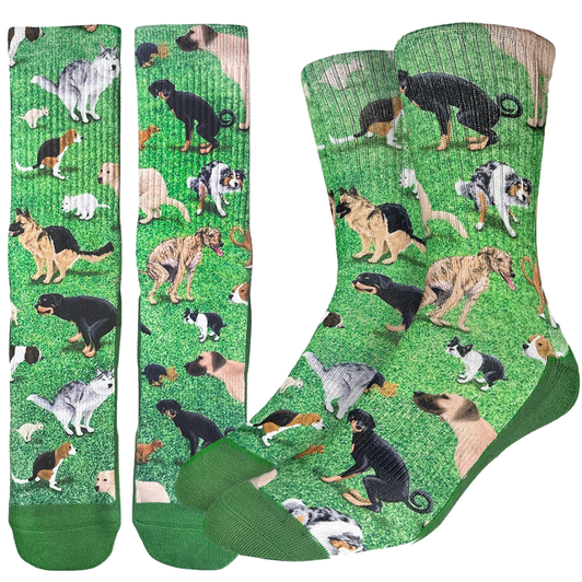 Good Luck Sock Men's Dogs Pooping Socks