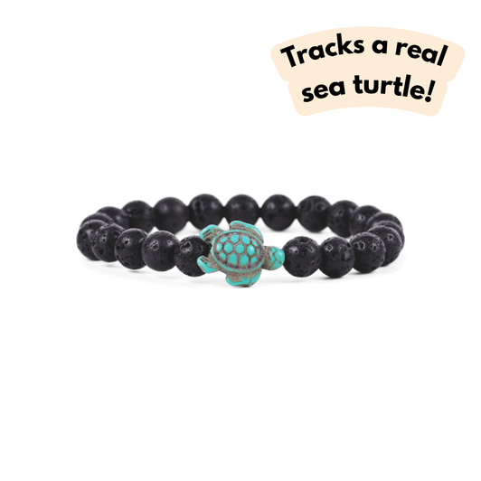 Fahlo The Journey Turtle Bracelet Lava