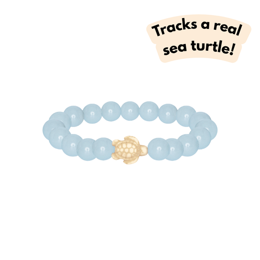 Fahlo The Journey Turtle Bracelet Aqua Glow