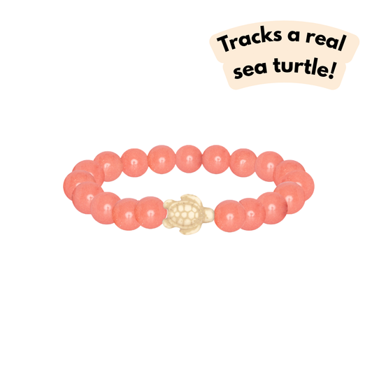 Fahlo The Journey Turtle Bracelet Sunrise Glow