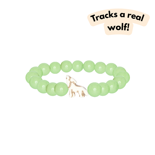 Fahlo The Scout Wolf Bracelet Sage Glow