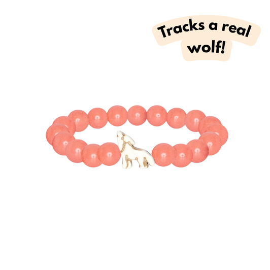 Fahlo The Scout Wolf Bracelet Sunrise Glow
