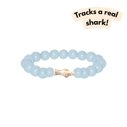 Fahlo The Voyage Shark Bracelet Aqua Glow