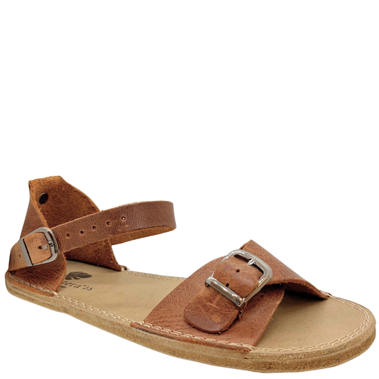 Monstera Firefly Sandals Brown