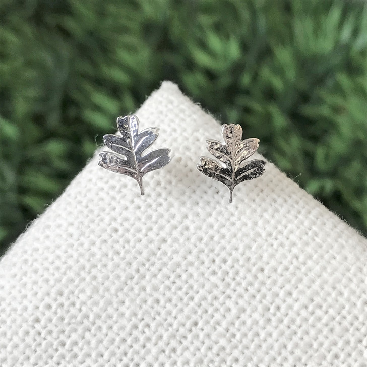 Tashi Silver Oak Leaf Studs