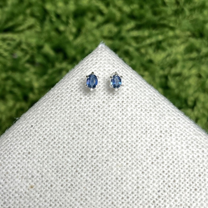 Tashi Silver Oval Claw Set Sapphire Stud