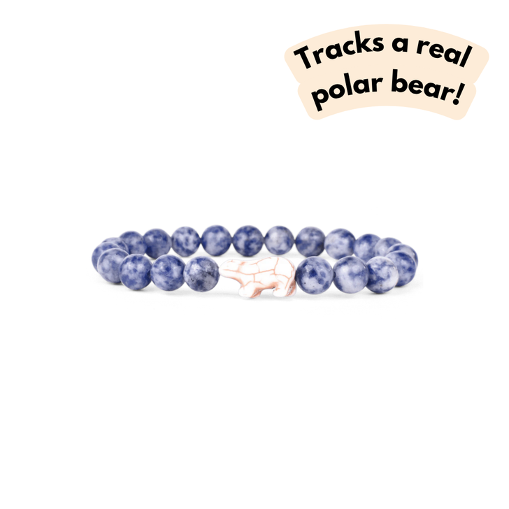Fahlo The Venture Polar Bear Bracelet Igloo Blue