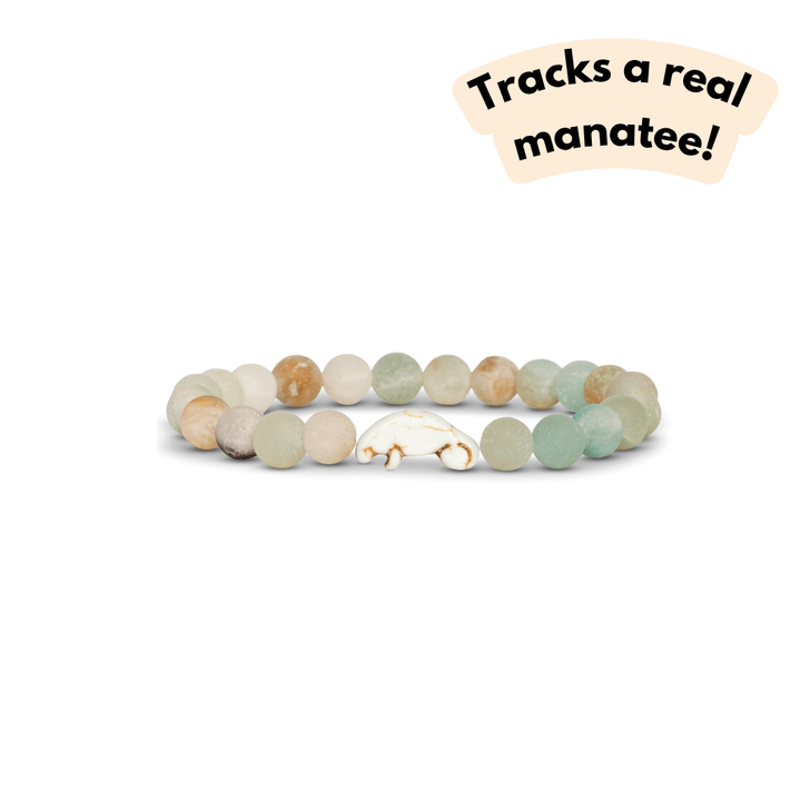 Fahlo The Drift Manatee Bracelet Sky Stone