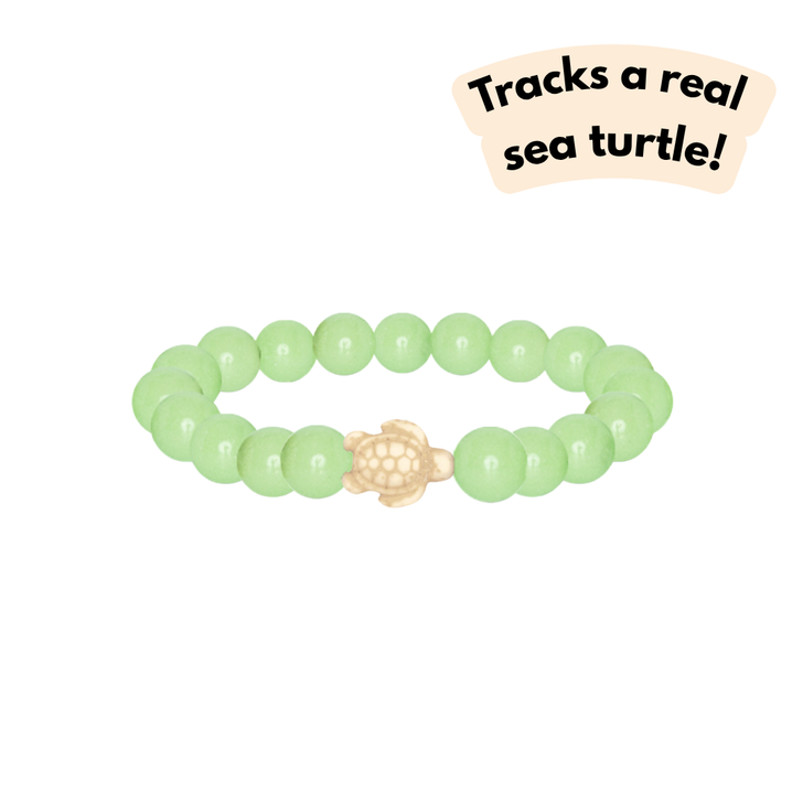 Fahlo The Journey Turtle Bracelet Sage Glow