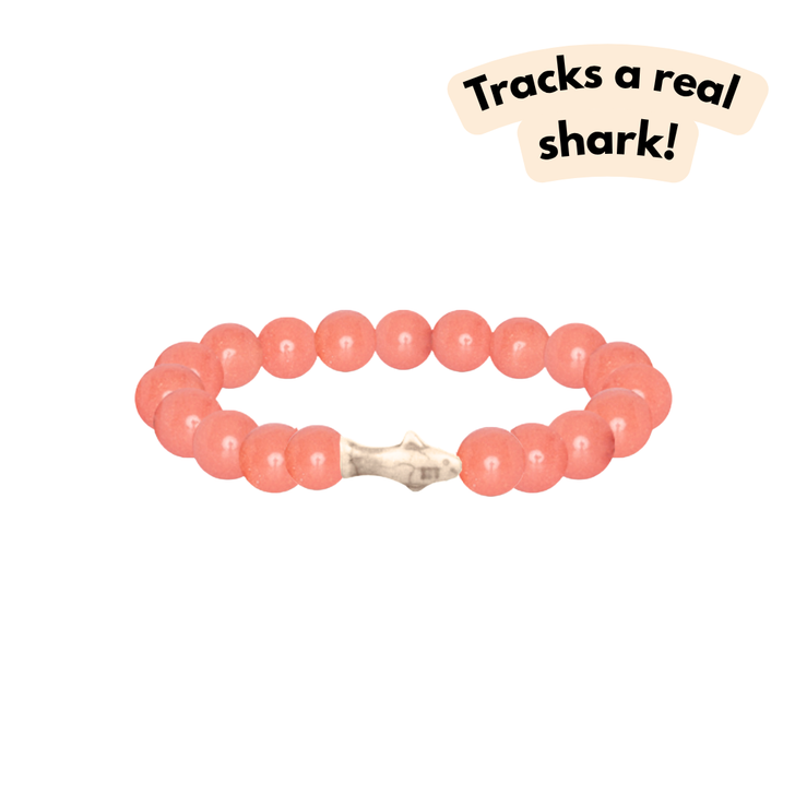 Fahlo The Voyage Shark Bracelet Sunrise Glow