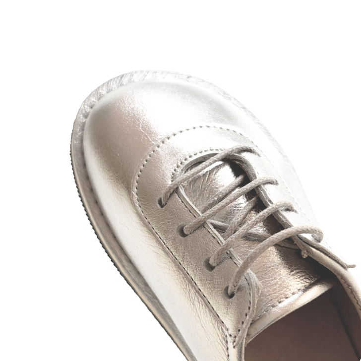 Monstera Laceup Shoes Silver