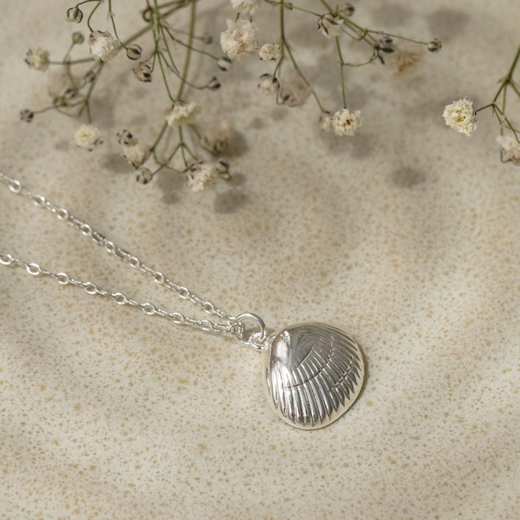 Glee Silver Plated Nori Shell Necklace