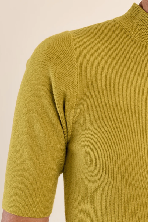 Molly Bracken Short Sleeve Turtle Neck Sweater Olive