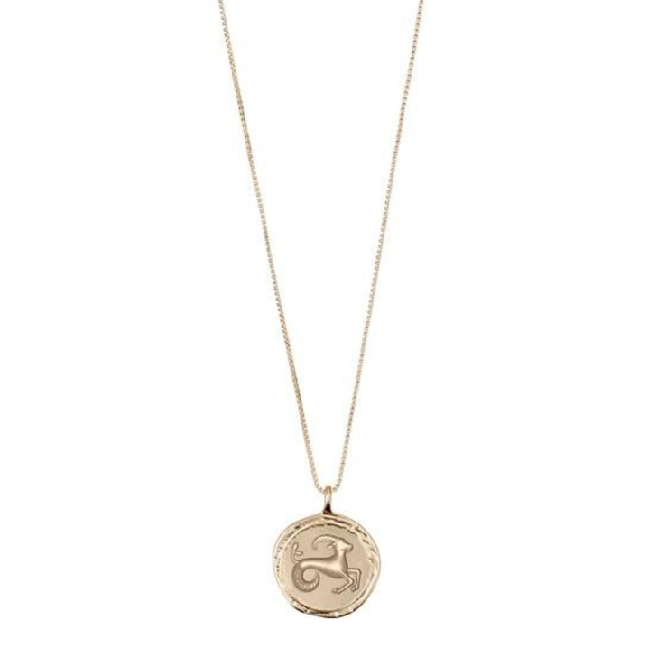 Pilgrim Gold Plated Zodiac Necklace- Capricorn