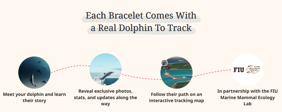 dolphin.png