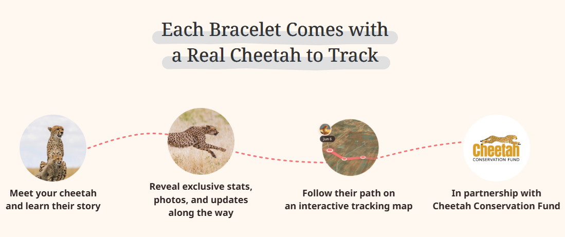 fahlo-cheetah.png