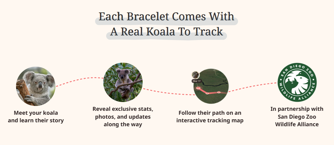 fahlo-koala.png