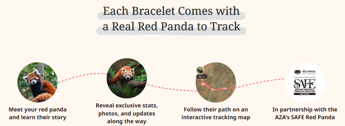 fahlo-red-panda.png fahlo-red-panda.png