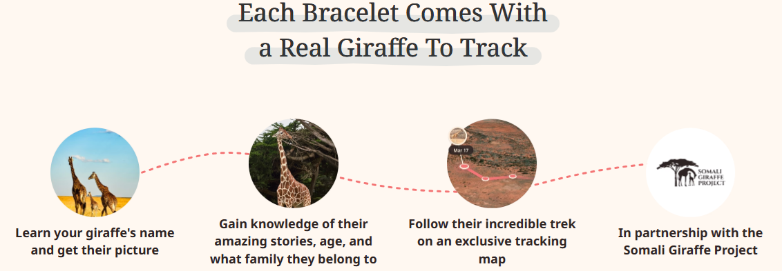 giraffe.png