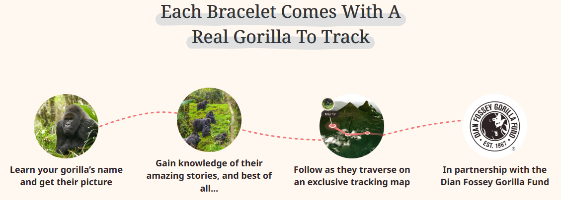 gorilla.png