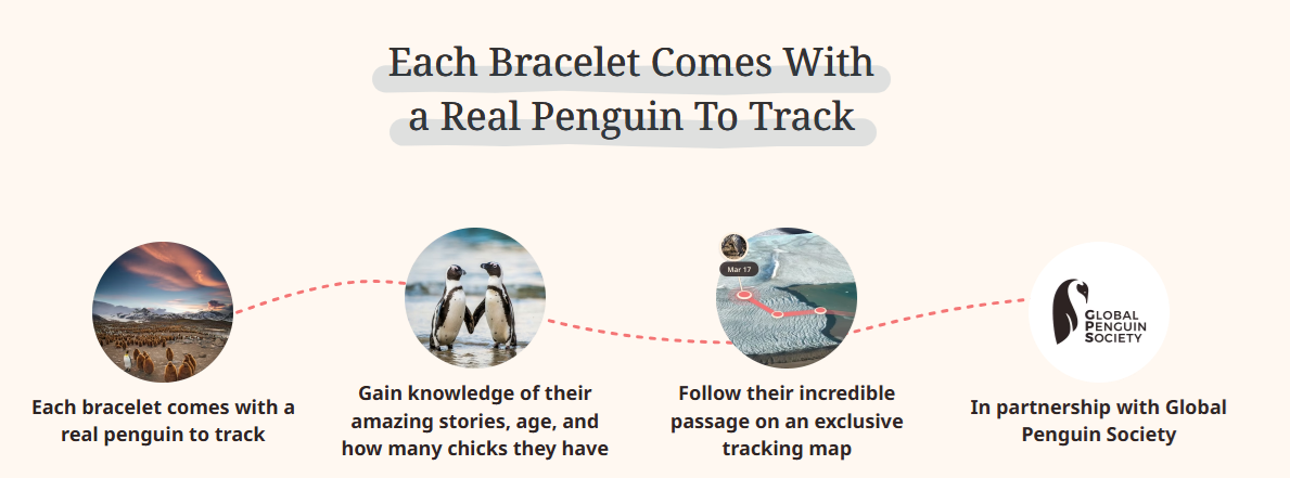 penguin.png