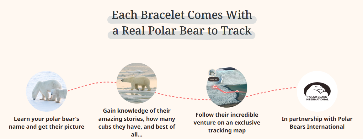 polar.png