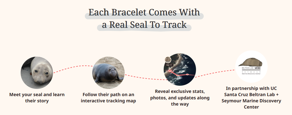 seal.png
