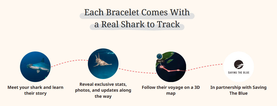 shark.png