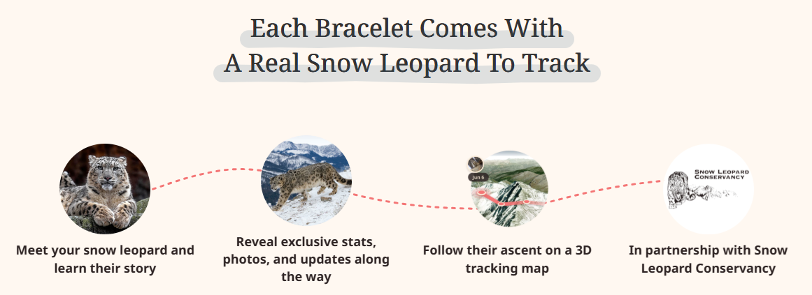 snow-leopard.png