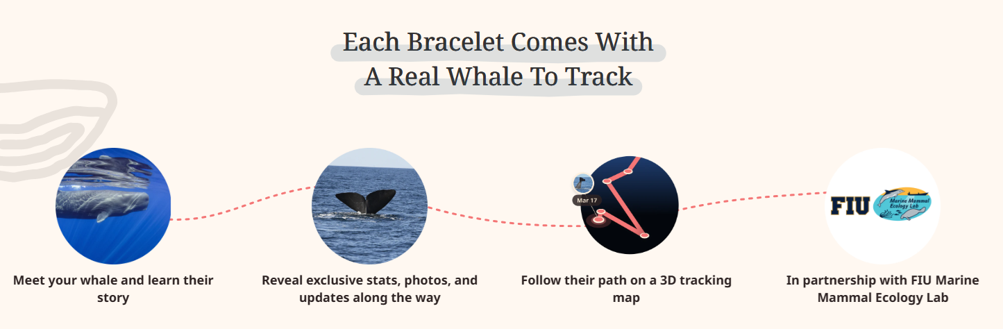 whale-br.png whale-br.png
