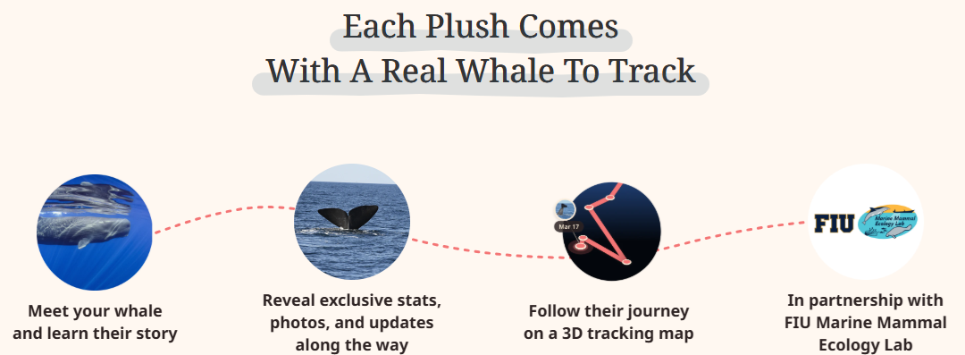 whale.png