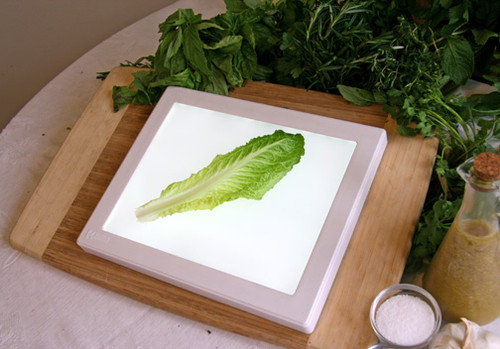 Bug Checker Max Light Board