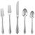 Lenox Melon Bud Frosted Flatware Set 