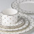 Larabee Road Platinum 5-piece Place Setting